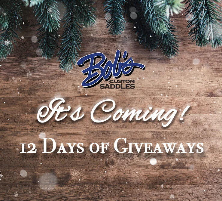 12 Days of Giveaways