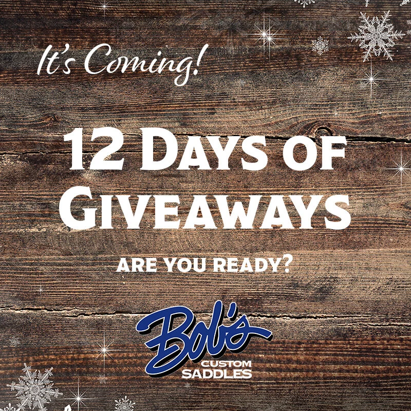 12 Days of Giveaways