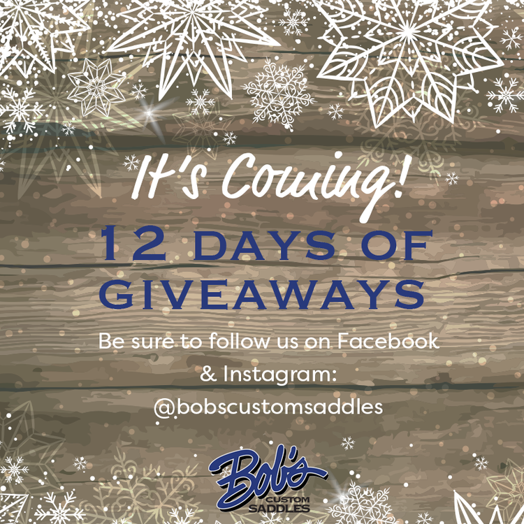 12 Days of Giveaways