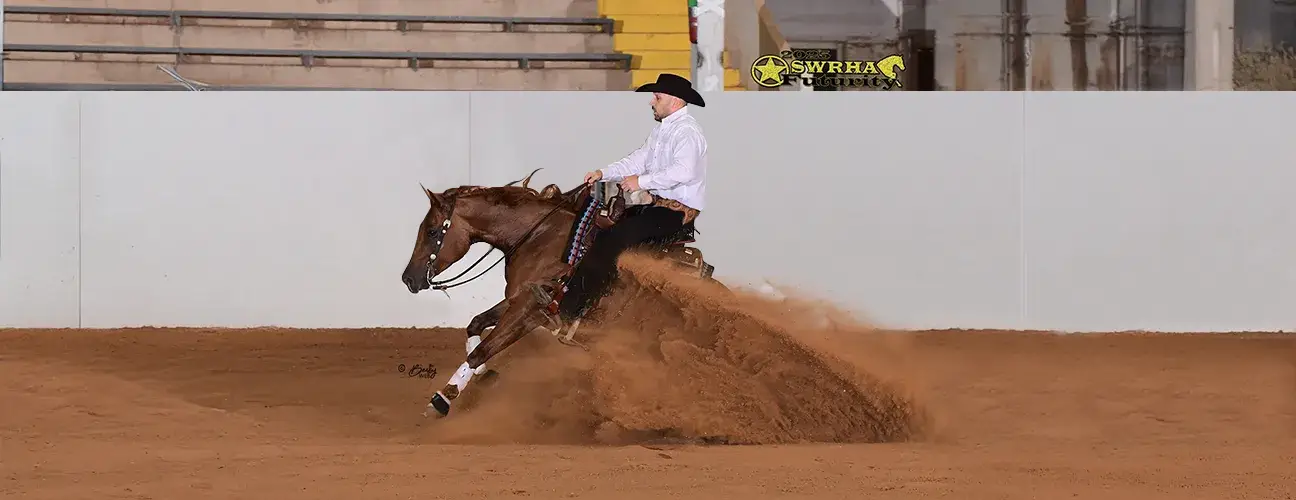 Marcos Guimarães Reining Horses