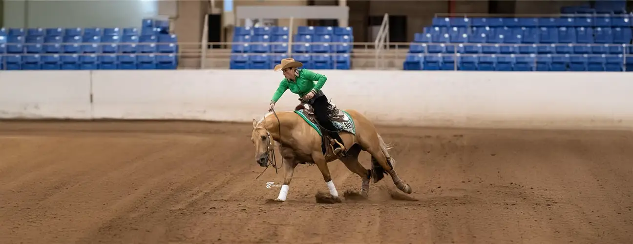 Ashley Kelkenberg Reining Horses