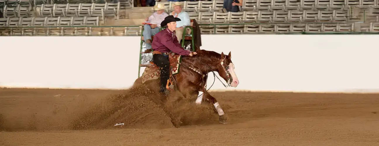 Gabe Hutchins Reining Horses