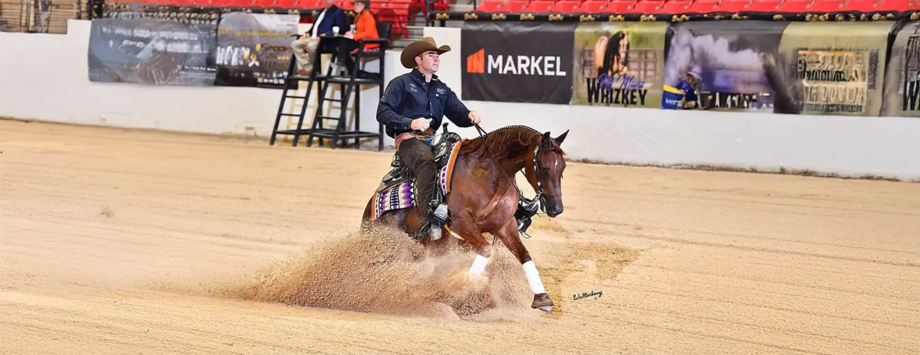 Travis Wigen Reining Horses - Image 4