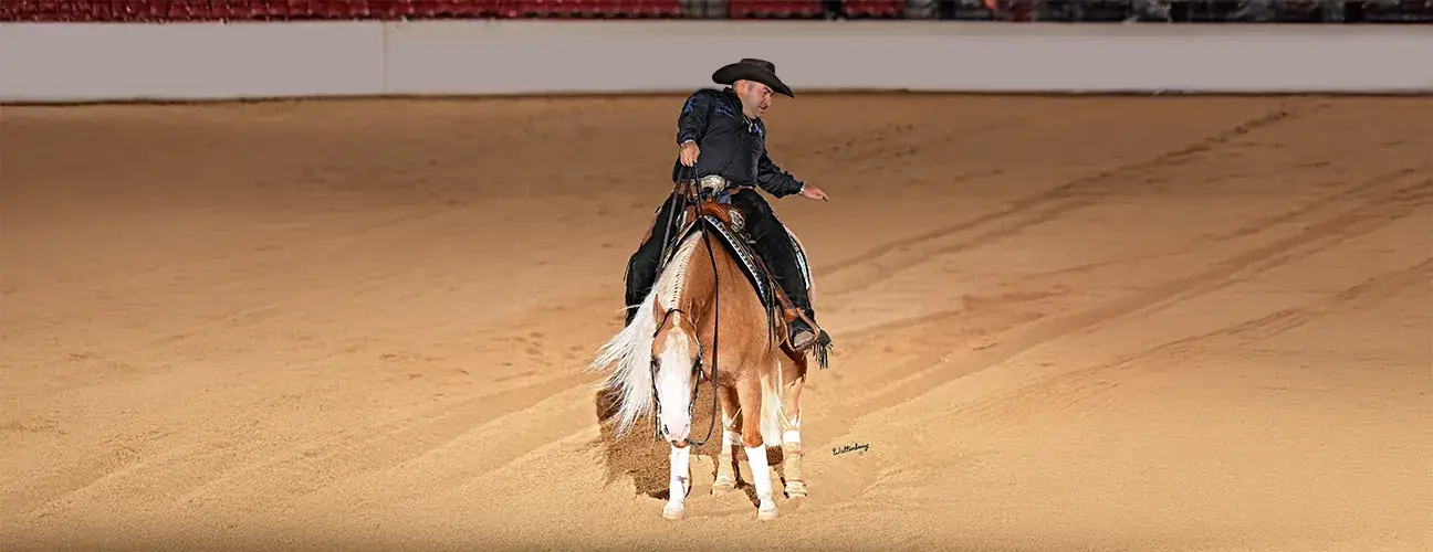 Dany Tremblay Reining Horses - Image 3