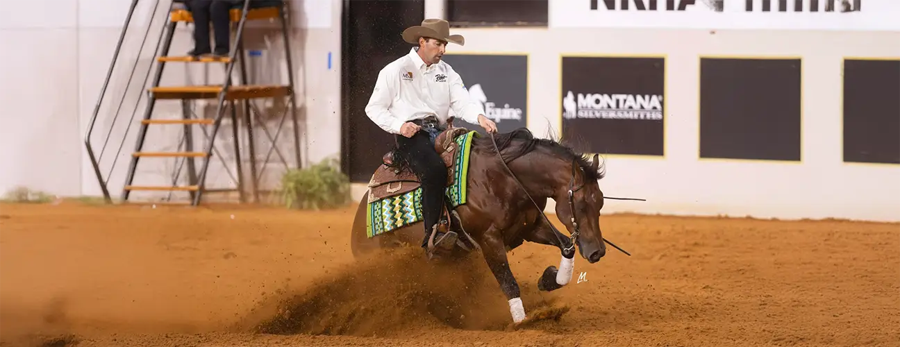 Lior Dubowski Reining Horses - Image 2