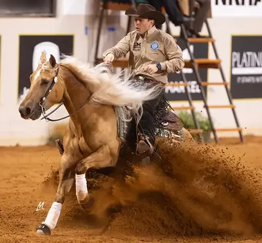 Fernando Salgado Reining Horses