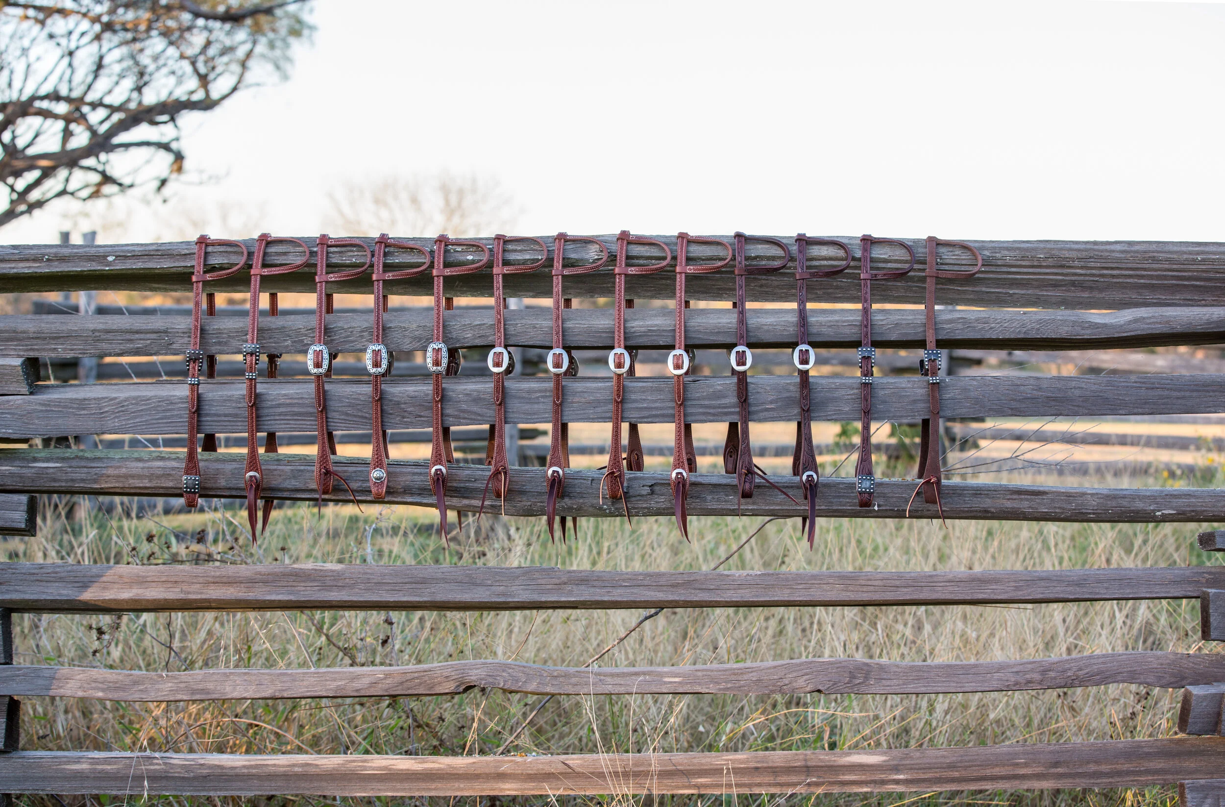 HEADSTALLS