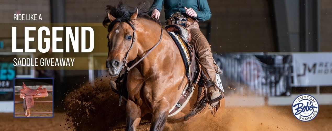 Win a Free Bob's Saddle