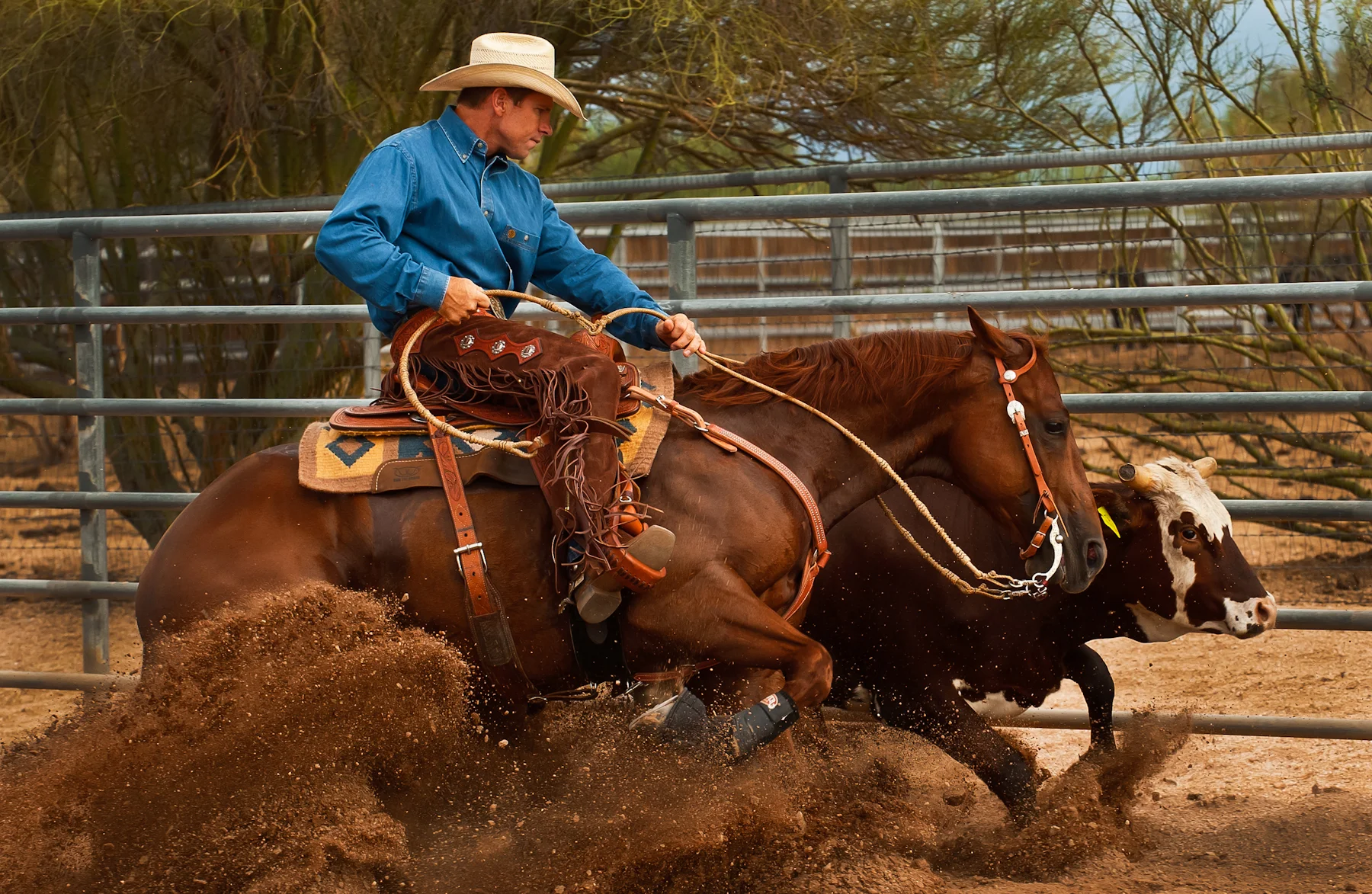 Western Performance Training Center