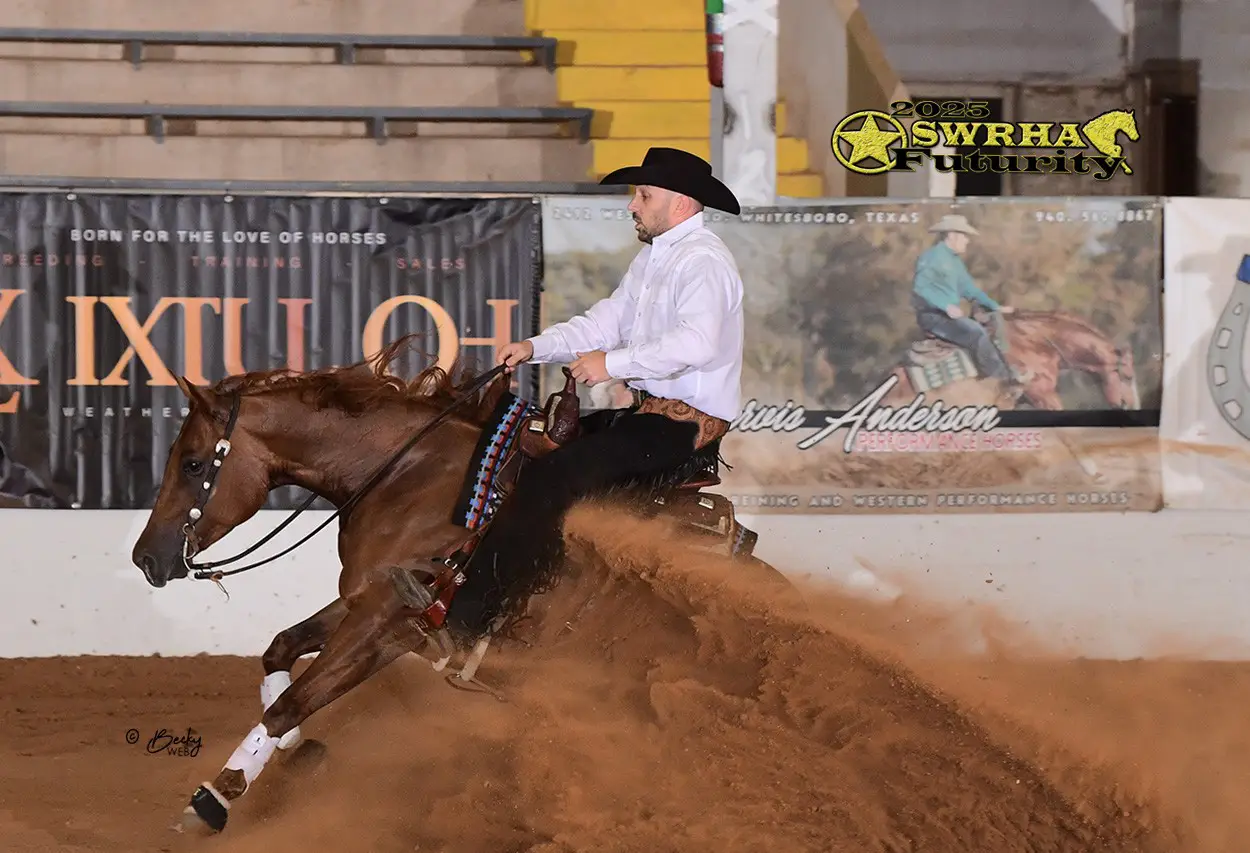Marcos Guimarães Reining Horses