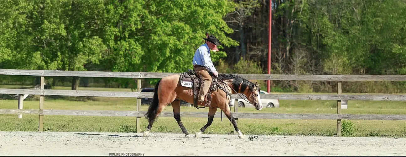 Matt Gouthro Reining Horses