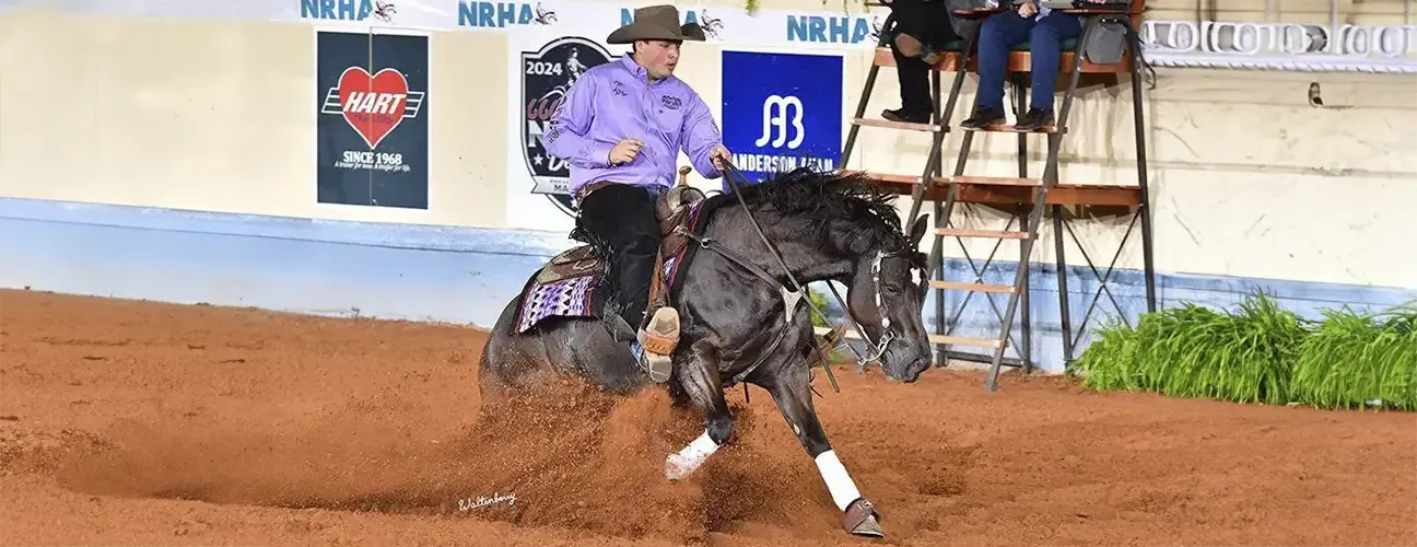 lavender shirt horse rider, outdoor arena, bay horse