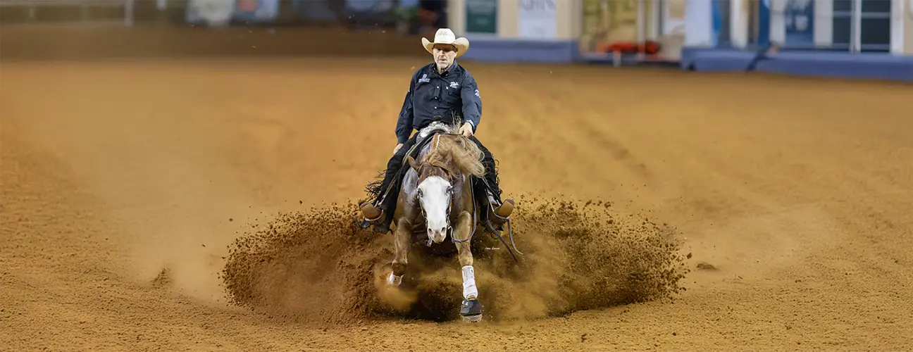 Duane Latimer Reining Horses - Image 1