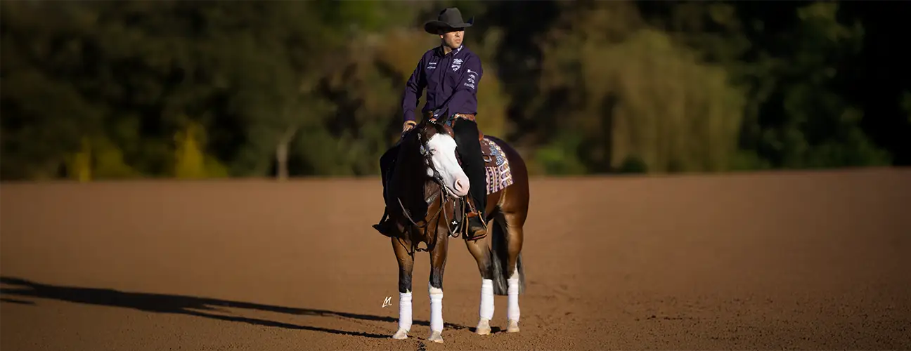 Fernando Salgado Reining Horses - Image 1