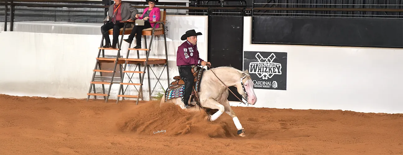 Dany Tremblay Reining Horses - Image 2
