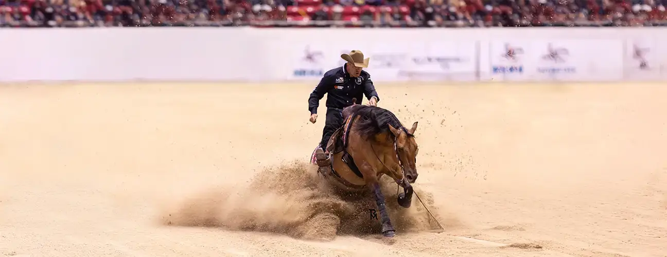 Marco Ricotta Reining Horses - Image 3