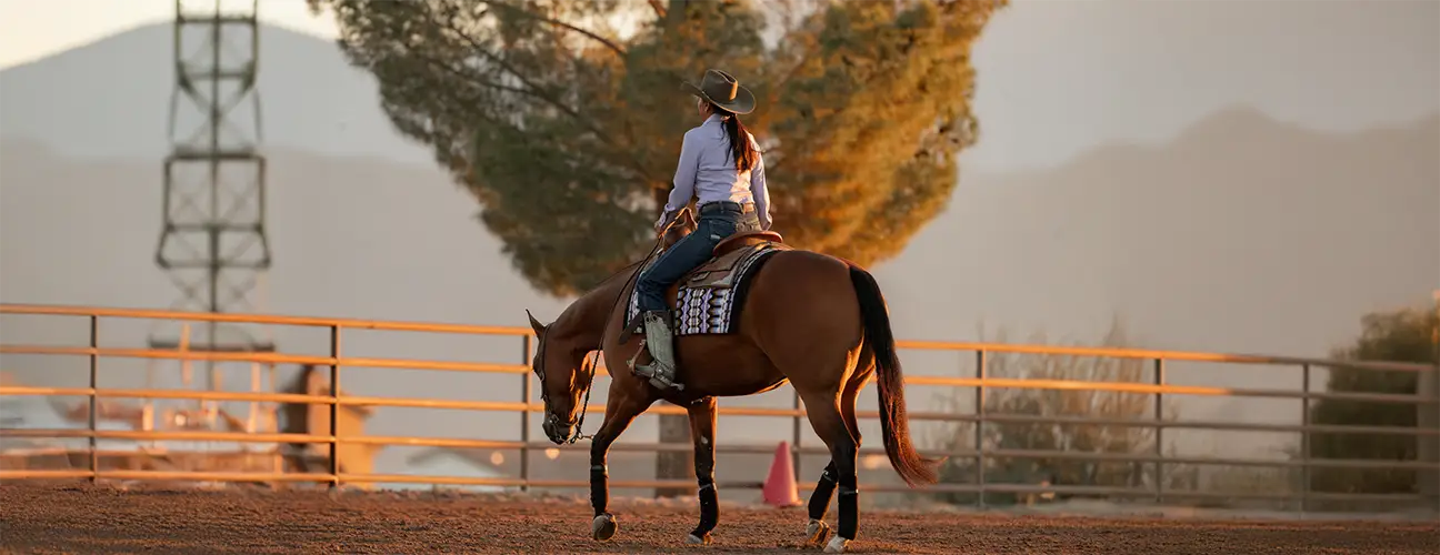Ashley Wilson-Hammer Reining Horses - Image 2