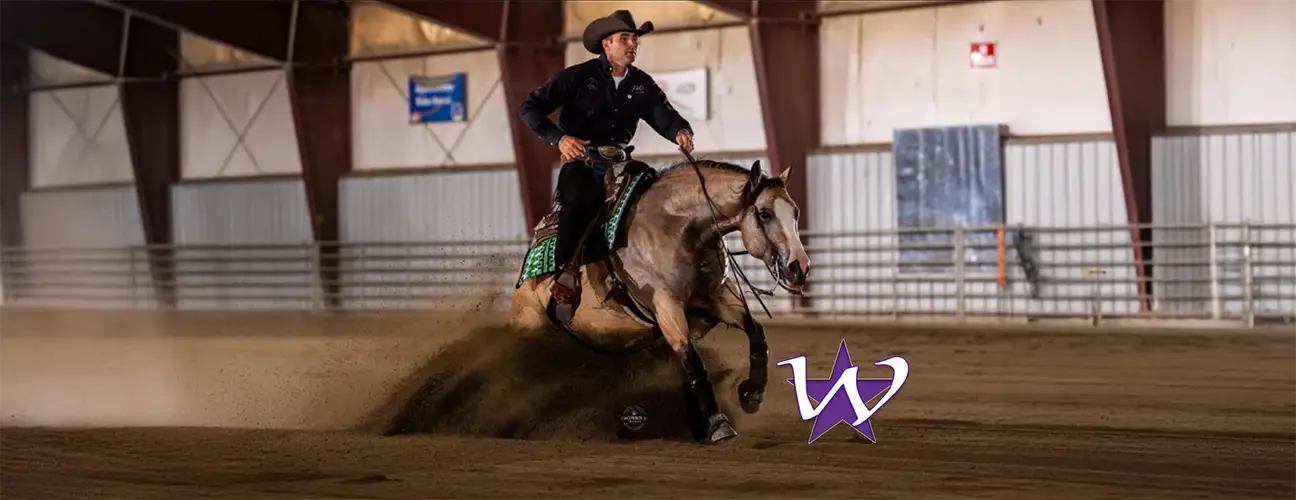 Travis Wigen Reining Horses - Image 1