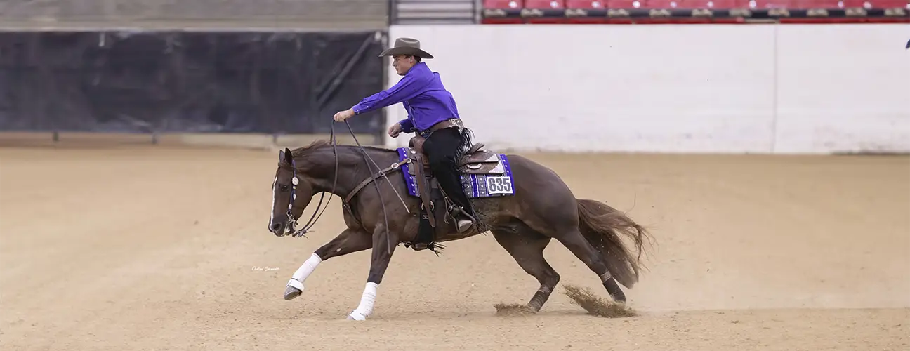 Sam Flarida Reining Horses