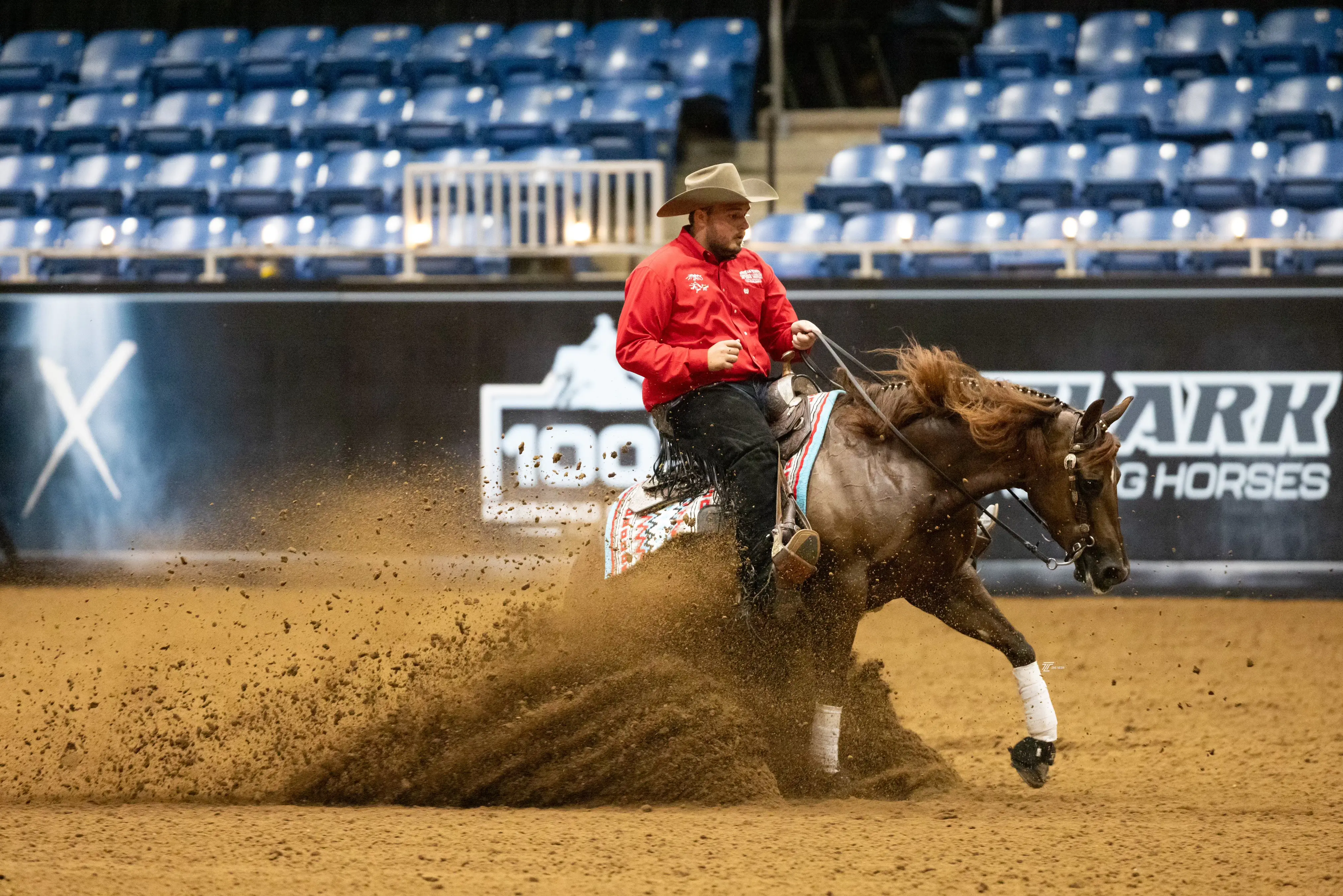 Sam Flarida Reining Horses