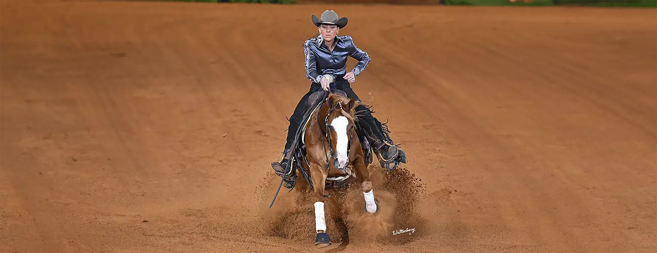 Peyton Derr Performance Horses