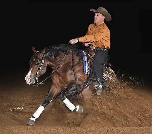 Fappani Performance Horses