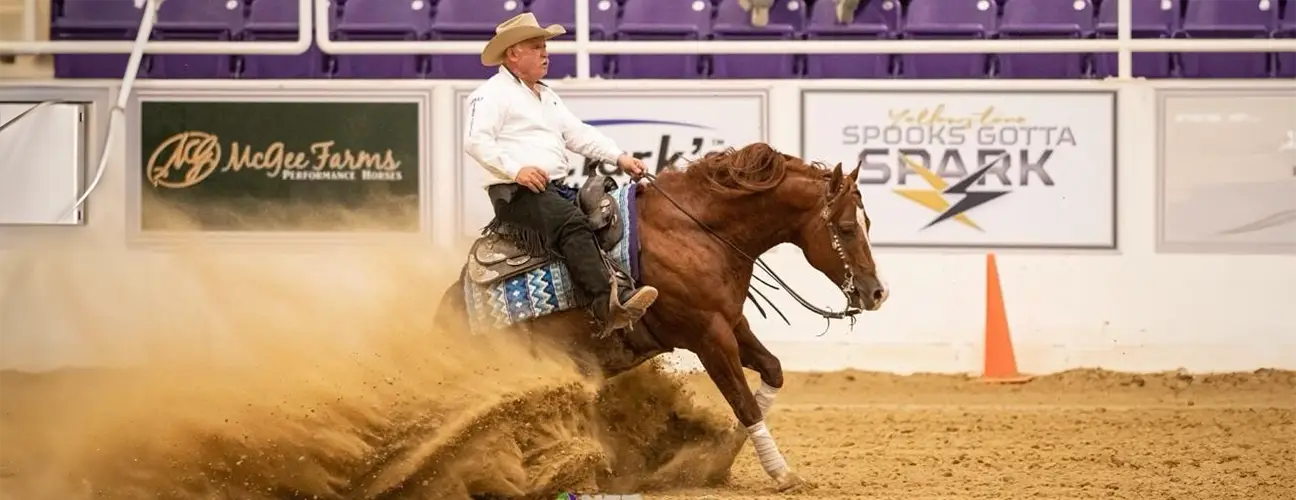 white shirt, jose vazquez, reining horse